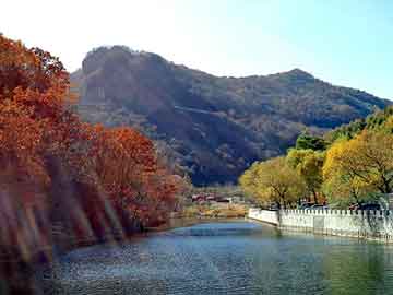 管家婆黑白马报图库，北京回头车